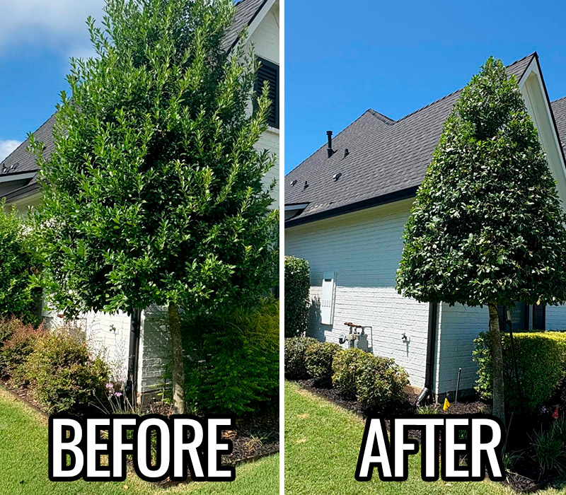 Towing services in Hesperia